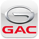 3D коврики EVA с бортами для GAC (ГАК)